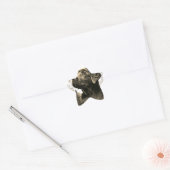 Pegatinas con forma de estrella Stern-Aufkleber (Umschlag)