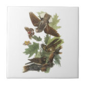 Peitsche-arm-werden Sie durch Audubon Fliese (Vorderseite)