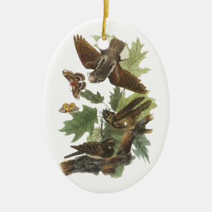 Peitsche-arm-werden Sie, John Audubon Keramikornament