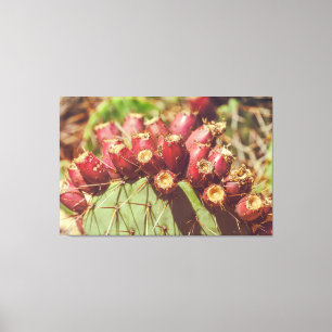 Peitschenbirnen Leinwanddruck