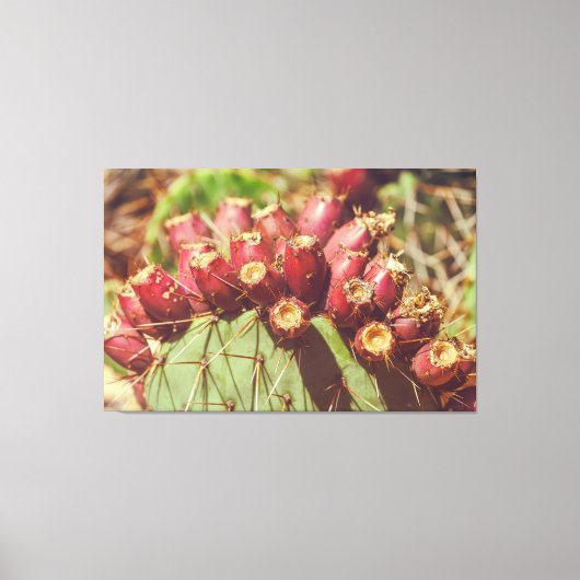 Peitschenbirnen Leinwanddruck (Vorderseite)