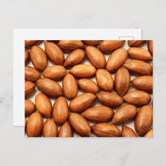 Pekanüsse Postkarte (Vorne/Hinten)