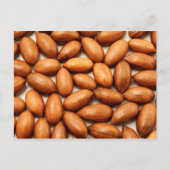 Pekanüsse Postkarte (Vorderseite)