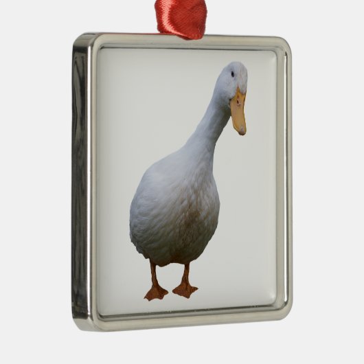 Pekin Duck Ornament (Rechts)