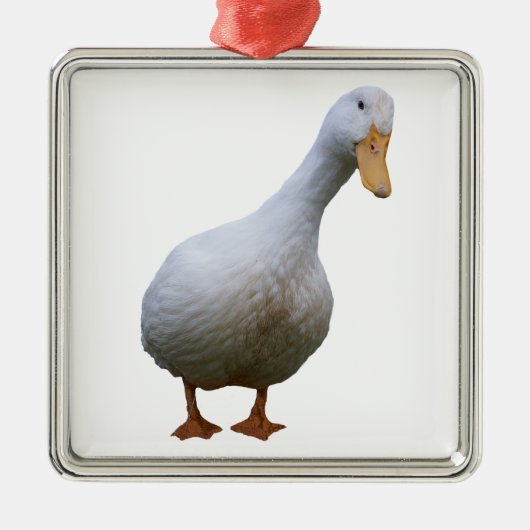 Pekin Duck Ornament Aus Metall (Vorne)