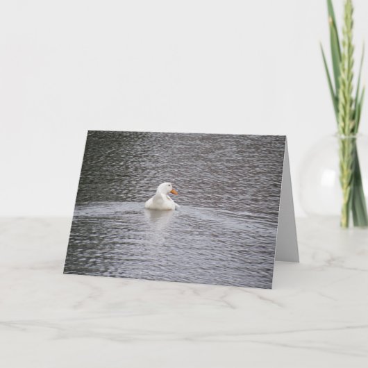 Pekin Duck schwimmt Grußkarte Karte (Vorderseite)