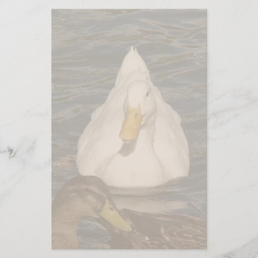 Pekin Enck Birds Stationierung Briefpapier (Vorderseite)