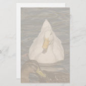 Pekin Enck Birds Stationierung Briefpapier (Vorne/Hinten)