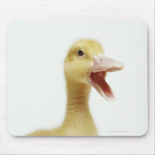 Pekin Entenküken, Kopfschuß Mousepad