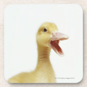 Pekin Entenküken, Kopfschuß Untersetzer