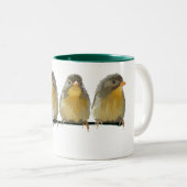 Pekin Robins Zweifarbige Tasse (VorderseiteRechts)