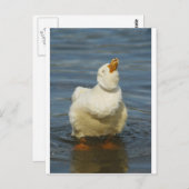 Pekin Shake Postkarte (Vorne/Hinten)