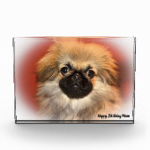 Pekinese Dog Fotoblock (Vorderseite)