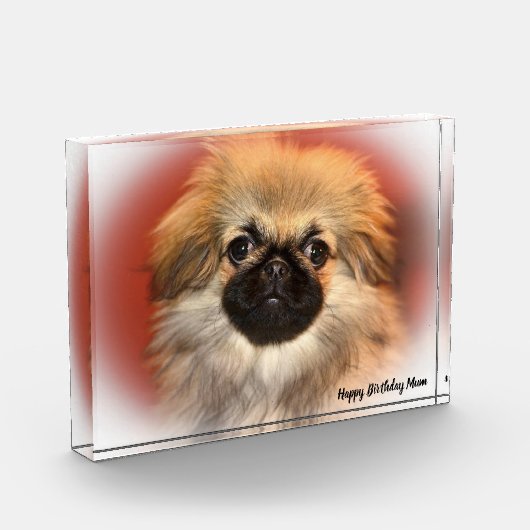 Pekinese Dog Fotoblock (Links)