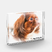Pekinese Dog Fotoblock (Links)