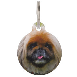 Pekinese Hund. Haustiermarke