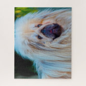 Pekinese Hund. Puzzle (Vertikal)
