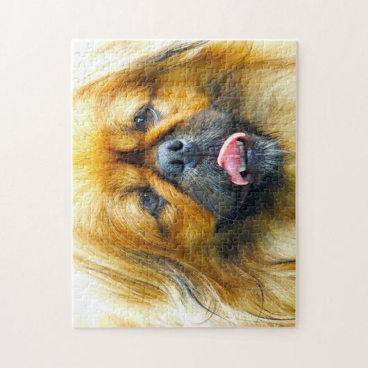 Pekinese Hund. Puzzle (Vertikal)