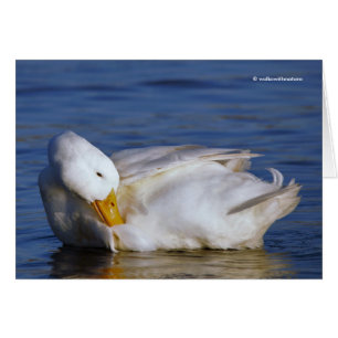 Peking Duck lächeln ein Mona Lisa Lächeln in der S