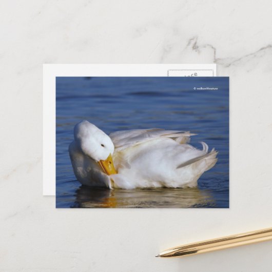 Peking Duck lächeln ein Mona Lisa Lächeln in der S Postkarte (Vorderseite/Rückseite Beispiel)