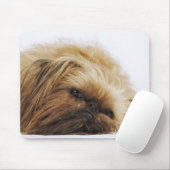 Pekinger Hund, nah Mousepad (Mit Mouse)
