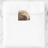 Pekinger Hund, nah Quadratischer Aufkleber (Tasche)