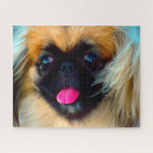 Pekinger Hund. Puzzle