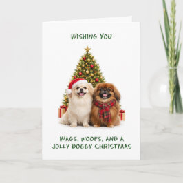 Pekinger Hunde Weihnachten