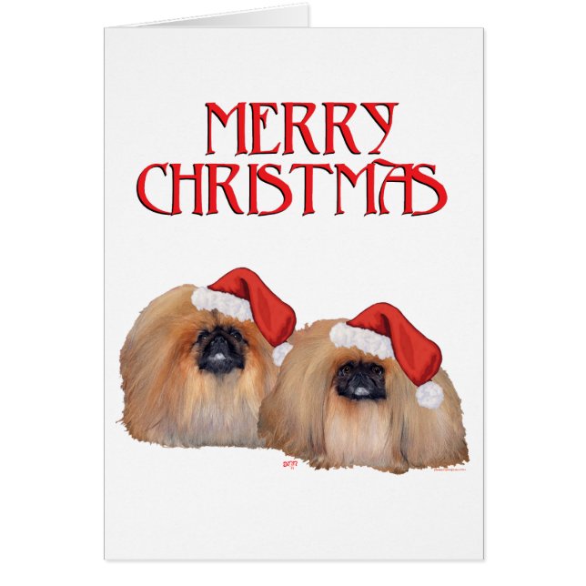 Pekinger Weihnachten (Vorne)