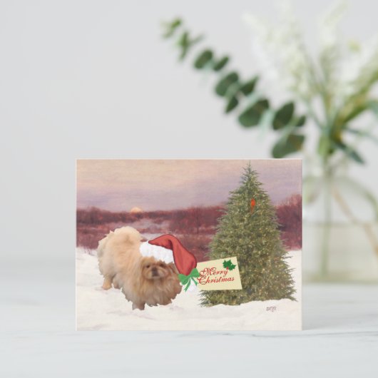 Pekinger Weihnachten (Stehend Vorderseite)