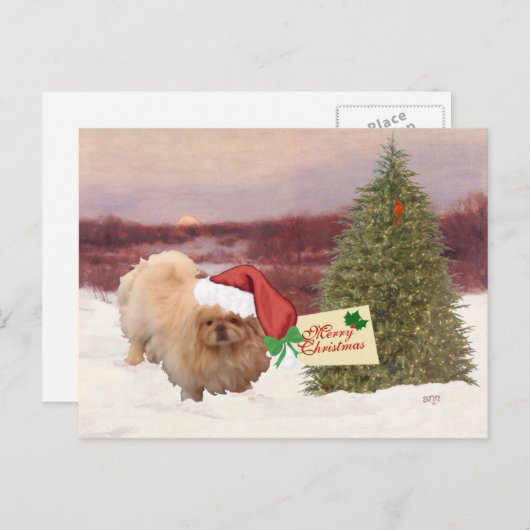 Pekinger Weihnachten (Vorne/Hinten)