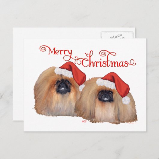 Pekinger Weihnachten (Vorne/Hinten)