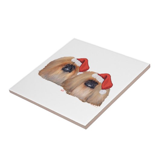 Pekinger Weihnachten Fliese (Seite)