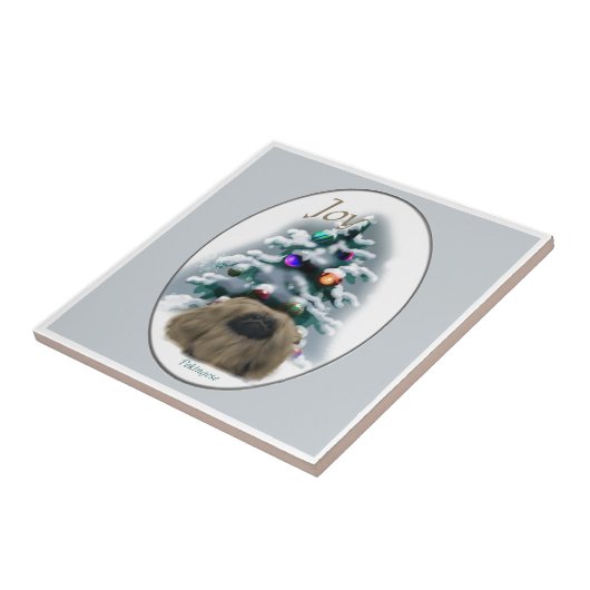 Pekinger Weihnachten Fliese (Seite)