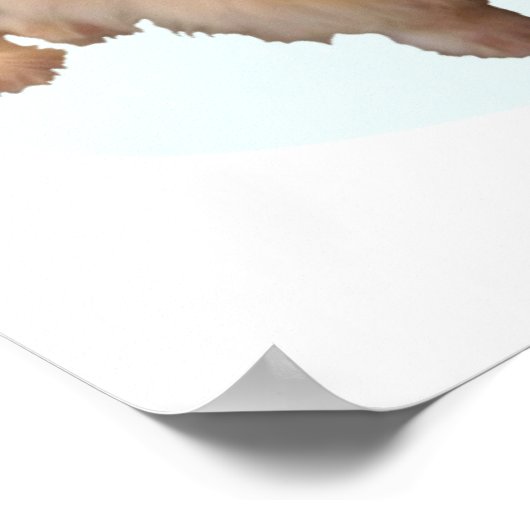 Pekinger Weihnachten Poster (Ecke)