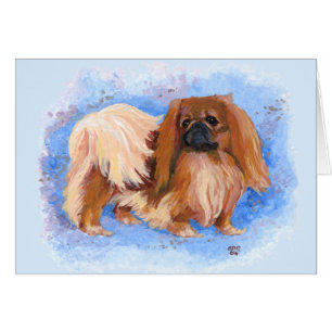 Pekingese
