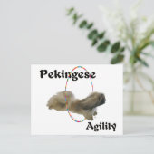 Pekingese Agilität Postkarte (Stehend Vorderseite)