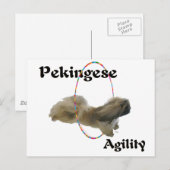 Pekingese Agilität Postkarte (Vorne/Hinten)