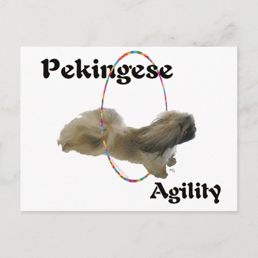 Pekingese Agilität Postkarte (Vorderseite)