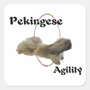 Pekingese Agilität Quadratischer Aufkleber