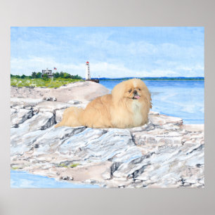 Pekingese am Leuchtturm Poster