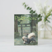 Pekingese am Orientalischen Tor Postkarte (Stehend Vorderseite)
