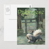 Pekingese am Orientalischen Tor Postkarte (Vorne/Hinten)