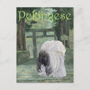 Pekingese am Orientalischen Tor Postkarte
