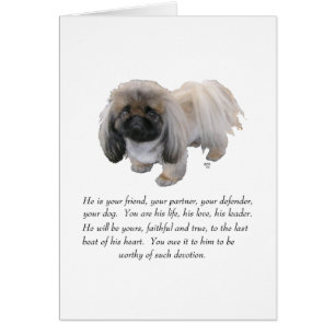 Pekingese Andenken - MÄNNLICH