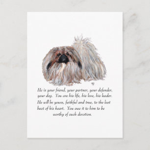 Pekingese Andenken - MÄNNLICH Postkarte