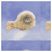 Pekingese auf Blue Stoff (Nahaufnahme)