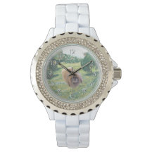 Pekingese auf einer Wiese