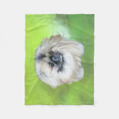 Pekingese auf Green Fleecedecke (Vorderseite)