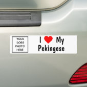 Pekingese Autoaufkleber (Auf Auto)